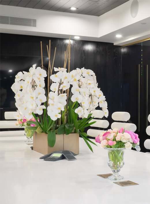 Board Room